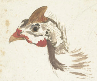 Tête de pintade casquée - Aert Schouman — vy av konstverket