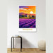 Poster Provence Vintage vid solnedgången