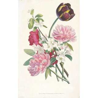 After Jean Louis Prvost - Bouquet of Tulip Peonies and a Branch from an Apple Tree.webp