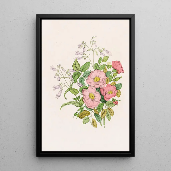 Agnes Fitzgibbon - Early Wild Rose Pentstmon BeardTongue.webp