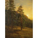 Sequoias i Kalifornien - Albert Bierstadt — vy av konstverket