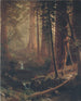 Sequoiadendron giganteum i Kalifornien - Albert Bierstadt — vy av konstverket