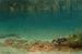 Landskapsj lake - Albert Bierstadt — vy av konstverket