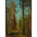 Reproduktion av målningen Le Grizzly Giant Séquoia Mariposa Grove Kalifornien - Albert Bierstadt