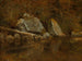 de vita bergen, Echo Lake - Albert Bierstadt — vy av konstverket