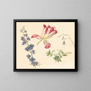 Albertus Jonas Brandt - Bloemstudies.webp