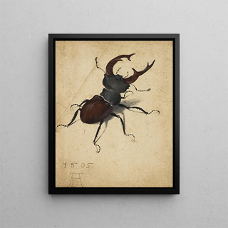 Albrecht Drer - Stag Beetle.webp