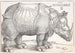 Le Rhinocéros - Albrecht Dürer — vy av konstverket