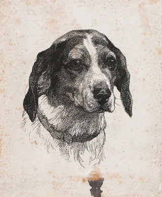 Alexander Blom - Et hundehoved.webp