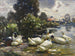 Huit canards au bord de l'eau - Alexander Koester — vy av konstverket
