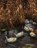 Huit canards dans les roseaux d'automne - Alexander Koester — vy av konstverket