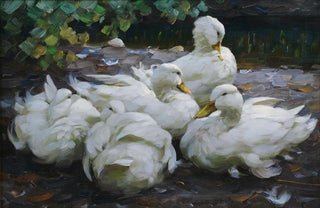 Alexander Koester - Fnf ruhende weie Enten.webp