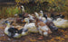 Mes canards, onze canards au bord de l'eau - Alexander Koester — vy av konstverket