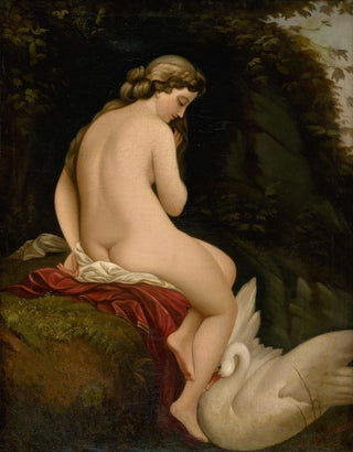 Alexander Nyulassy - Leda And The Swan.webp