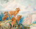 Mouflon av Big Horn - Alexander Phimister Proctor — vy av konstverket