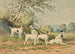 Six Jack Russell Terriers - Alexander Pope Jr — vy av konstverket