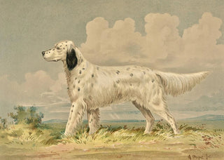 Alexander Pope Jr - Standing English Setter facing left.webp