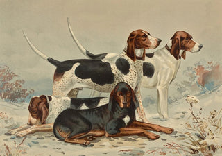 Alexander Pope Jr - Three Foxhounds with Coonhound.webp