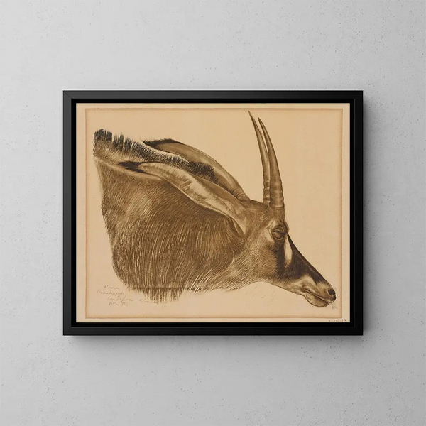 Antilope hippotrague - Alexandre Iacovleff — inramlat konstverk på väggen