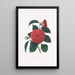 Illustrationer och beskrivningar av växter som ingår i den naturliga ordningen av Camellieae Pl12 - Alfred Chandler