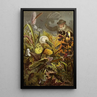 Alfred Edmund Brehm - Die Insekten Tausendfussler und Spinnen Pl 18.webp