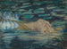 Ophelia - Alice Pike Barney — vy av konstverket