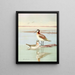 Wilsons Phalarope - Allan Brooks — inramlat konstverk på väggen