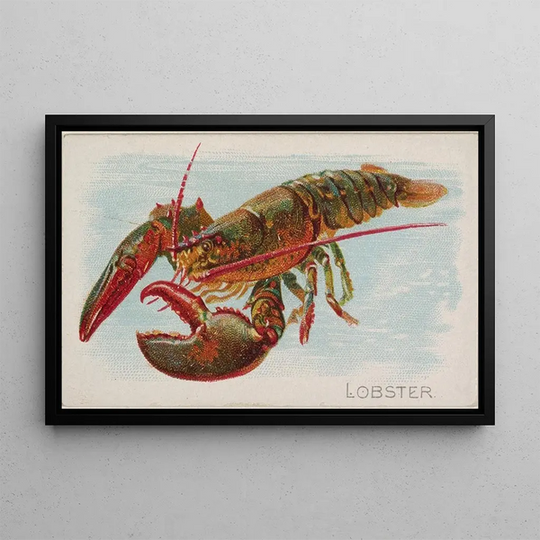 Homard - Allen Ginter — inramlat konstverk på väggen