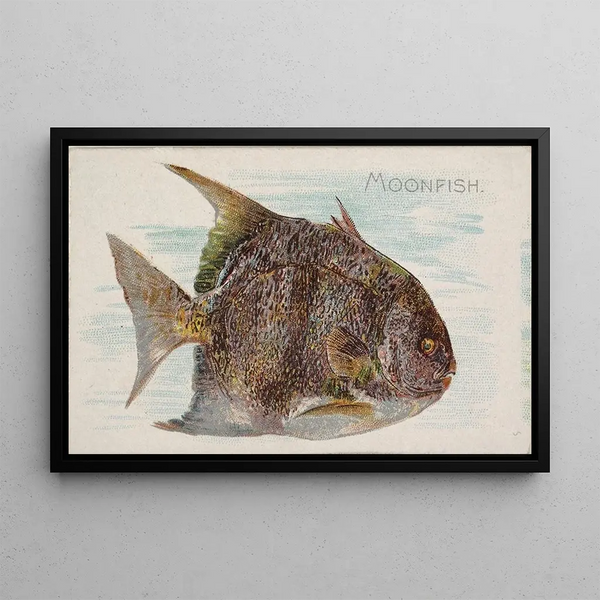 Poisson-lune - Allen Ginter — inramlat konstverk på väggen