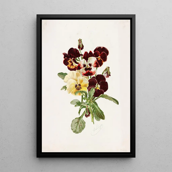 Alois Lunzer - Pansies.webp