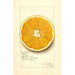 Reproduktion av målningen Citrus paradisi Navel - Amanda Almira Newton