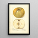 Reproduktion av målningen Malus domestica Pumpkin Sweet - Amanda Almira Newton