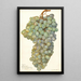 Reproduktion av målningen Vitis Almeria - Amanda Almira Newton