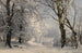 Skog i vinter - Anders Andersen-Lundby — vy av konstverket