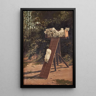 Andrew Putnam Hill - Dog Training.webp