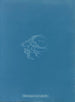 Batrachospermum alpestre - Anna Atkins — vy av konstverket