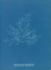 Bonnemaisonia asparagoides - Anna Atkins — vy av konstverket