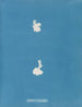 Calothrix cresswelliae - Anna Atkins — vy av konstverket
