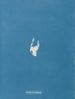 Calothrix distortiona - Anna Atkins — vy av konstverket
