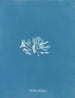 Chondrus brodii - Anna Atkins — vy av konstverket