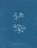 Chondrus norvegicus - Anna Atkins — vy av konstverket