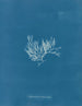 Chylocladia articulé - Anna Atkins — vy av konstverket
