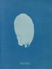 Bourse kodik - Anna Atkins — vy av konstverket