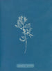 Cystoseira ericoides - Anna Atkins — vy av konstverket