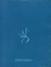Ectocarpus brachiatus - Anna Atkins — vy av konstverket