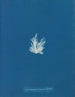 Ectocarpus fasciculatus - Anna Atkins — vy av konstverket