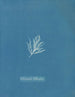 Ectocarpus littoralis - Anna Atkins — vy av konstverket