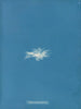Enteromorpha clathrata - Anna Atkins — vy av konstverket