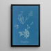 Reproduktion av målningen Exilaria crystallinum parasitique - Anna Atkins