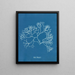 Fucus Machaii - Anna Atkins — inramlat konstverk på väggen